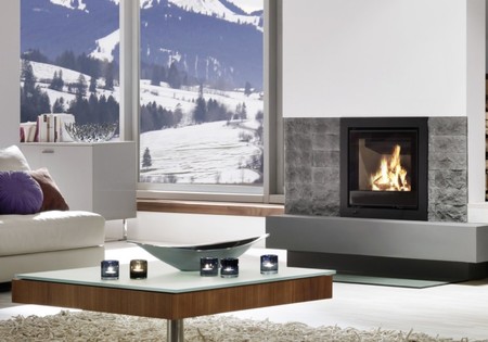 Spartherm Linear Inzet 34x45 (vaste greep)