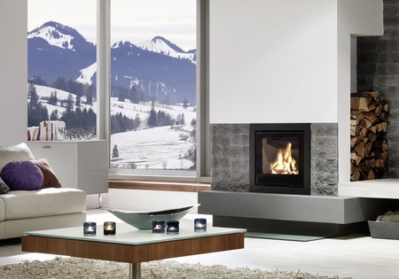 Spartherm Linear Inzet 51x45 (vaste greep)